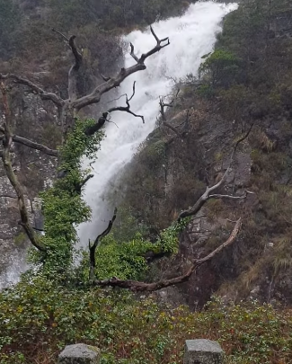 raiatermal's tweet photo. Cascadas en @raiatermal
La cascada #Leonte @m_terras_bouro: las aguas del arroyo Taleira, se precipitan desde un acantilado de roca granítica a 1⃣9⃣ metros, en el cauce del río Gerês.
Se ve desde la EN308-1 (Vila do Gerês - Portela do Homem), donde hay mirador
😃Después de 🌧️❄️ https://t.co/UpP4kUolfG