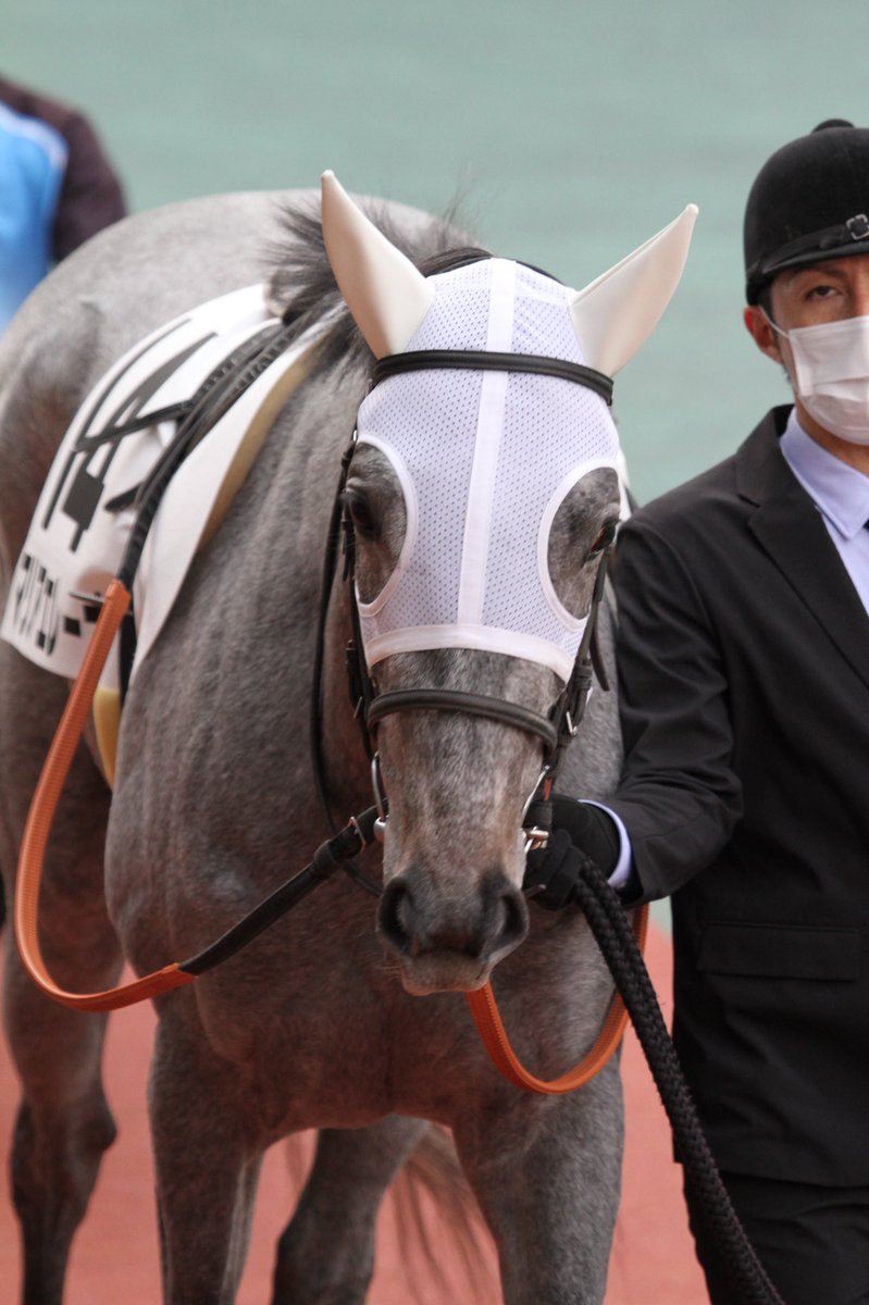 Mat 中京6r 2歳未勝利 勝馬 マリアエレーナ 川島信二騎手 中京競馬場 マリアエレーナ 川島信二 吉田直弘厩舎