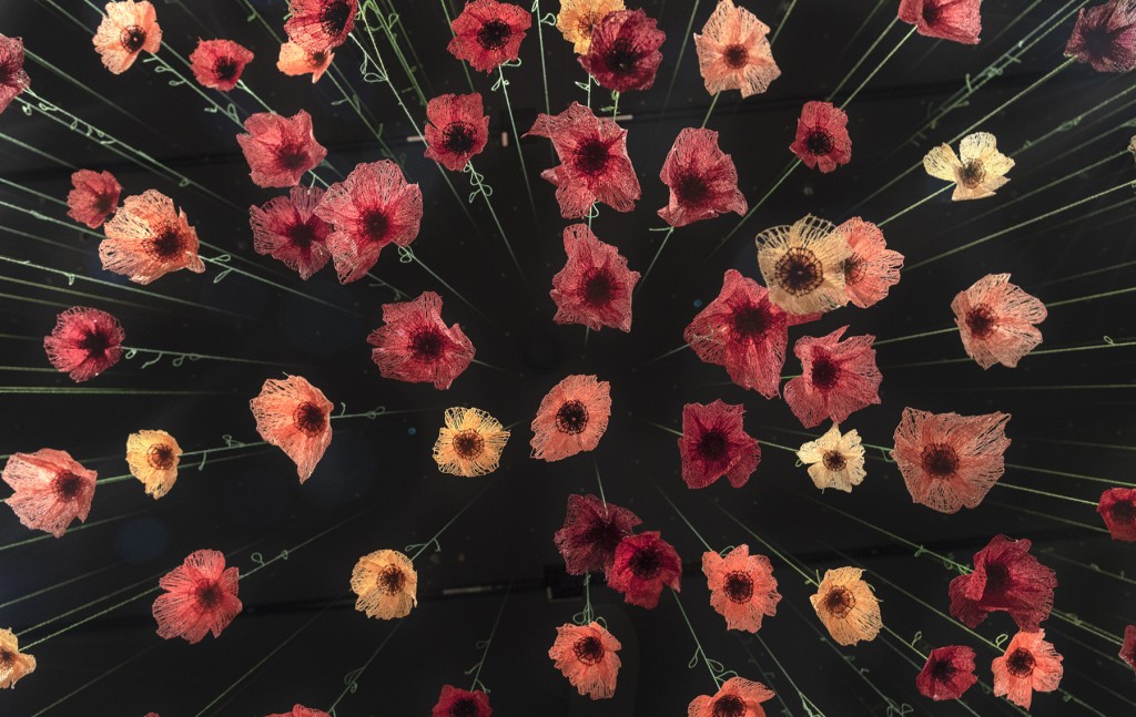 nettculture's tweet photo. Amazing installations & sculptures from Toronto based textile artist Amanda McCavour at https://t.co/EfV4cVirmT "Poppies", 12 x 40 x 30", thread, machinery embroidery, 2018 - ongoing, Photo: Cheryl Rondeau, © Amanda McCavour #art #AmandaMcCavour #poppies https://t.co/isHonbR12i