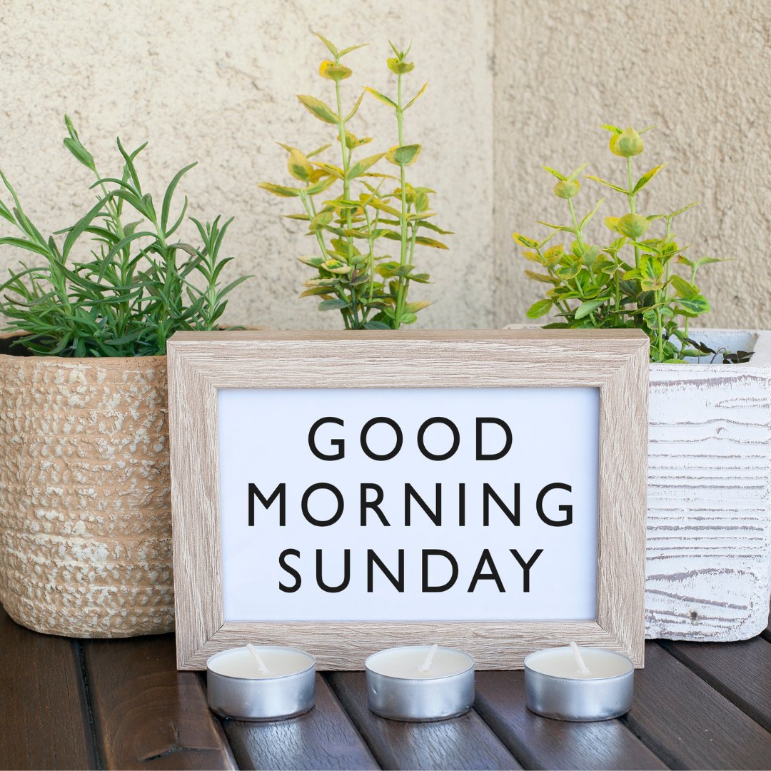 DynamicYouthInc's tweet photo. Have a beautiful Sunday! ☀️

#SundayMorning #Sunday #GoodMorning #Recovery #Addiction #50YearsOfSavingLives #DYCStrong #DYCFamily https://t.co/vQVavhkO1b