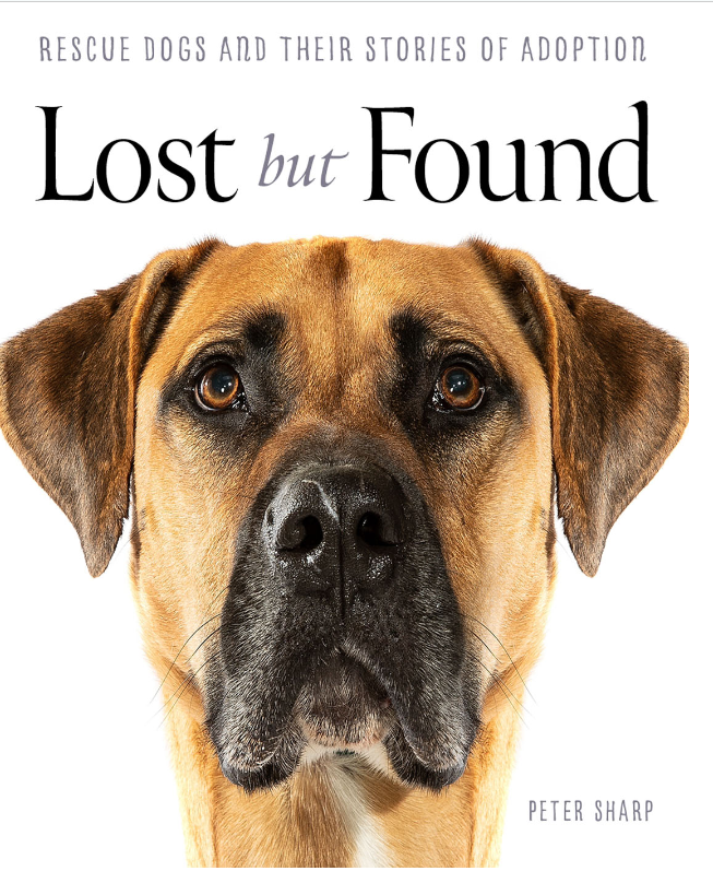 Chef Adriana tweet media