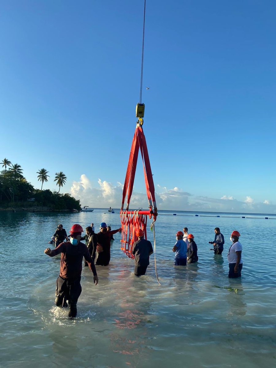 orlandojm's tweet photo. Tengo el honor de informarle al país que el traslado de los manatíes del @acuariord hasta la zona controlada de Bayahibe ha sido un éxito total. Pepe, Juanita y Lupita sortearon el viaje sin problemas y ya están familiarizándose con su nuevo hogar. ¡Juntos hemos hecho historia! https://t.co/eUXA2D3xSL
