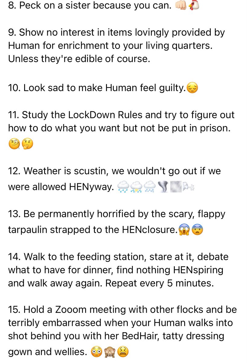 ChickensofR's tweet image. We are so sad we can’t play out but it’s to keep us and everyone else safe. GrandBob is making our house bigger to keep us happy until we can come outside again. See you all soon. 🥺🐔🐔🐔🐔