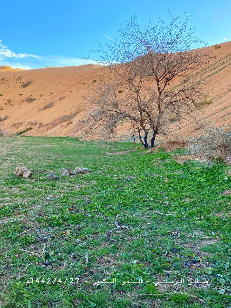 alzaaqi22's tweet photo. صور من ربيع غرب حائل النفود الكبير 📍
السبت 1442/4/27هـ 
الله يتبعله بالخيرات والأمطار ⛈
الربيع على اوله ومساحات م��دودة جداً 
( لايستحق العنوة ) 💫 https://t.co/yMMgvOhPgL