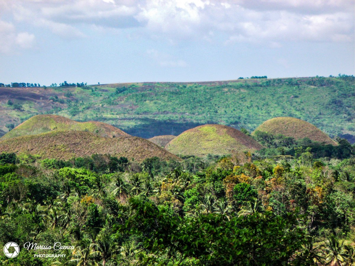 MarissaCuencaP1's tweet photo. Chocolate Hills at Carmen, Bohol https://t.co/cARDSVgzTS