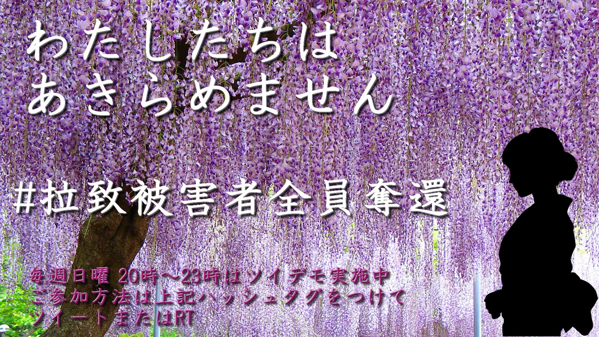 藤原東子 清潔実感 洗うたび白さよみがえる En Twitter わたしたちはあきらめません 最後まで 拉致被害者全員奪還 藤原東子 清潔実感 洗うたび白さよみがえる En Twitter わたしたちはあきらめません 最後まで 拉致被害者全員奪還