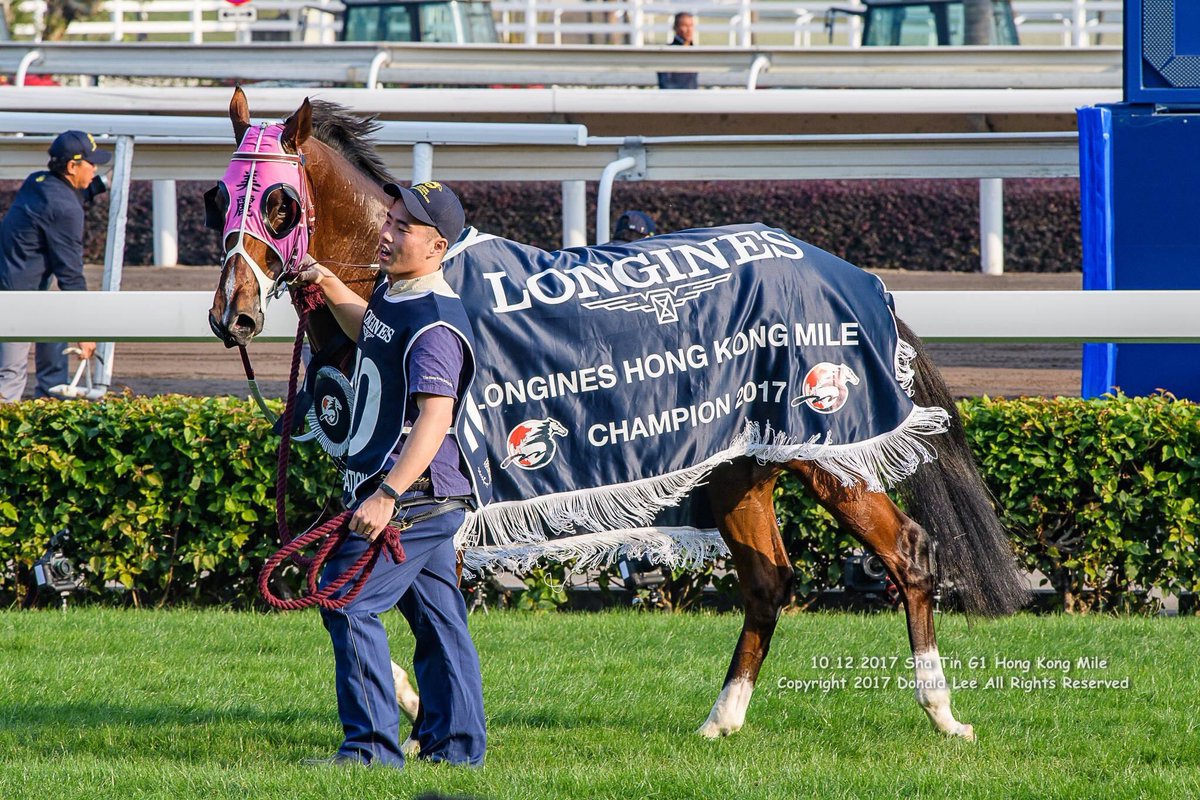 Definitely one of my favourites. Happy retirement champ <a href="/Beautystablehk/">Beauty Racing</a> <a href="/zpurton/">Zac Purton</a> <a href="/ClavreulR/">Romain Clavreul</a> <a href="/Georgejmoore8/">George Moore</a> <a href="/HighdenPark/">Highden Park</a> #HKracing