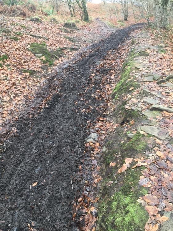 Off-road bikers are destroying the footpaths of the woods around Graigwen, making it dangerous for the majority. If you know who they are please report via 101 to @swpRCT. Also discussing what measures can be introduced with <a href="/GraigwenWoods/">Friends of Graigwen Woods</a> and <a href="/RCTCouncil/">RCT Council</a>.