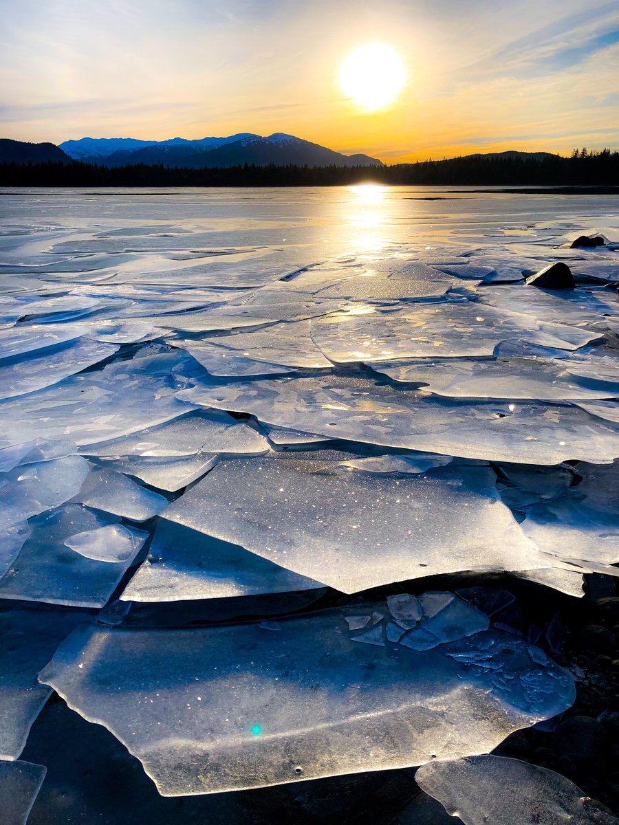 gorgeous_pix's tweet photo. "Ice shards on Mendenhall Lake; Juneau, AK. From u/Quasargyle on Reddit #mendenhalllake #iceshards #juneau #ak" https://t.co/QDfiJ5RoT9