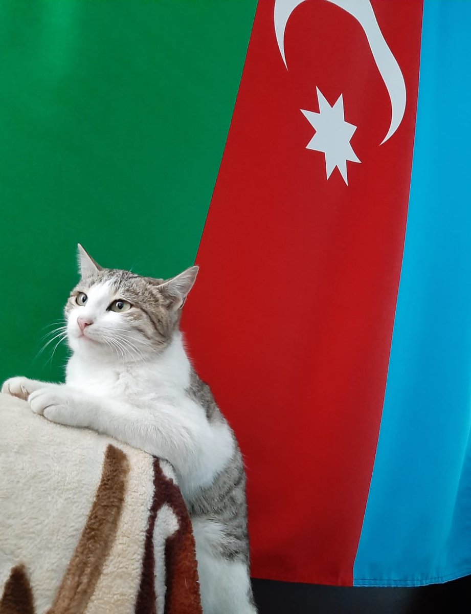 Qabil_1899's tweet photo. 🇦🇿 https://t.co/yoWtmPuvfT