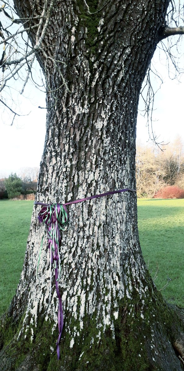 Marion Wallace Dunlop was and is an inspiration to Scottish women. A tribute to her and her activism is being marked by Scottish Women in the form of The Suffragette ribbons. Women are placing the purples, whites and greens on display this month as a reminder. #womenwontwheesht