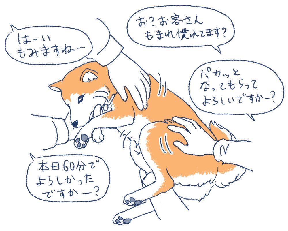 夜はだいたい揉まれてる揉まれ職人。 
