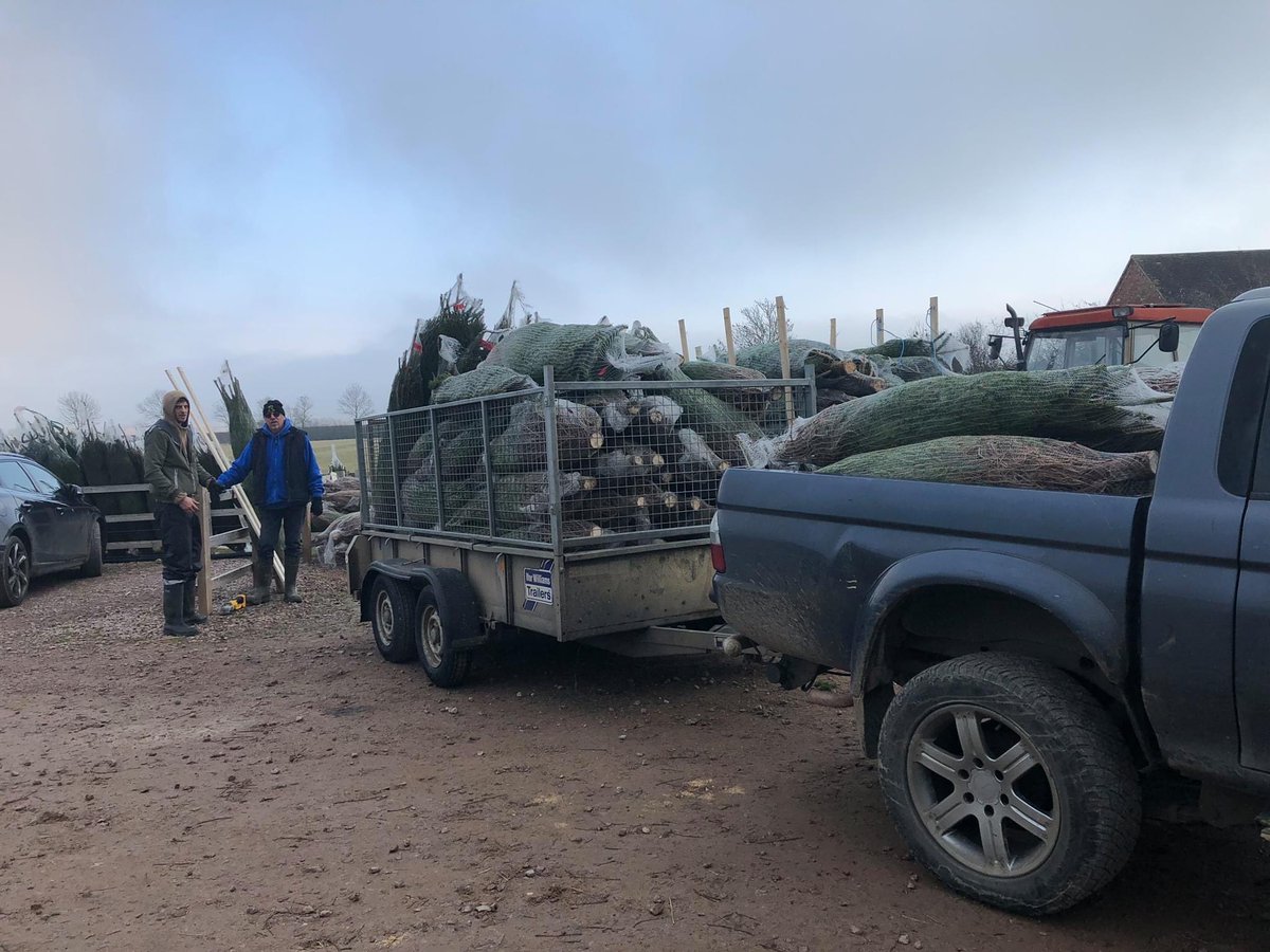 We thought that yesterday might be our last cutting day, you had other ideas!
So we've cut and restocked again this morning there are some spectacular 6/7 foot trees! 🎄🎄