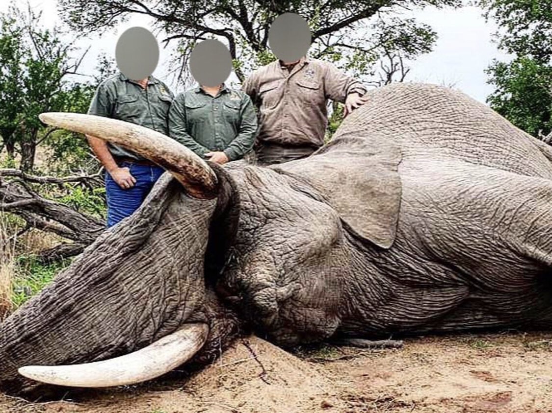 animals_innocent_creatures tweet media