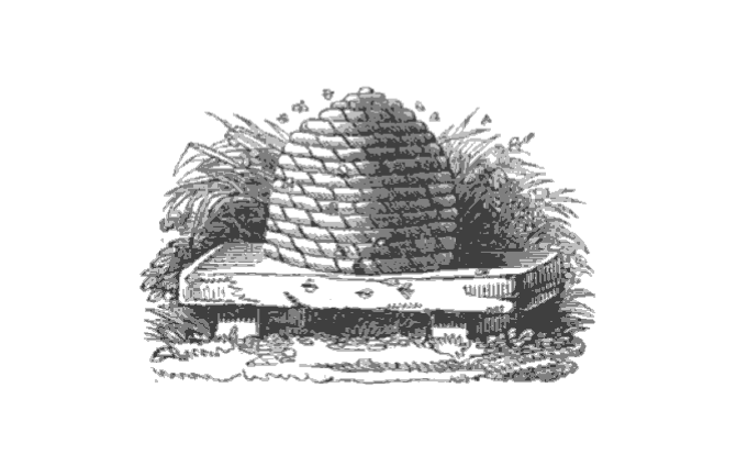 In Belgium, all sorts of misfits of society were recruited to take this opportunity to get their lives back on track in the Belgian colony of Verapaz as it was called. A beehive, representing the country as a land of honey and milk, was even used as a logo for the project. 12/23