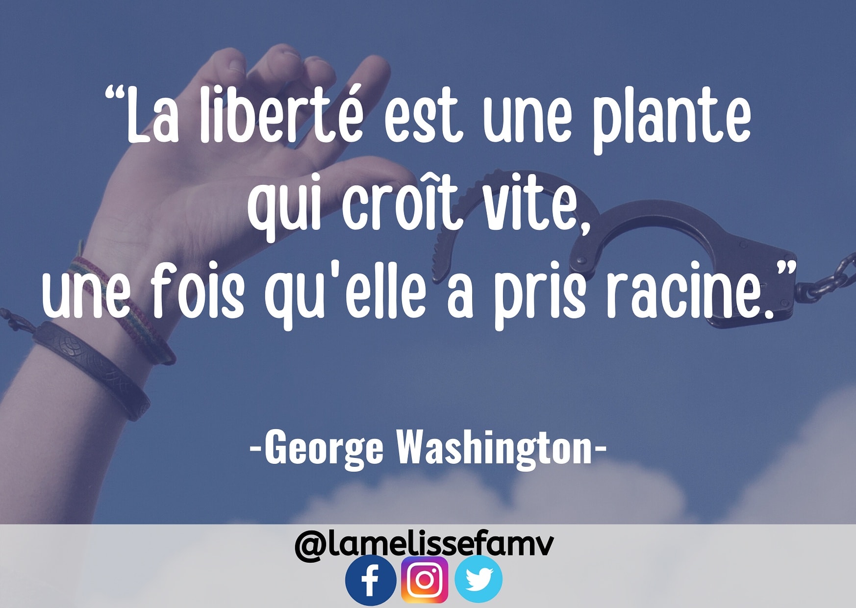 تويتر La Melisse De La Famv على تويتر Meli Citation La Liberte Est Une Plante Qui Croit Vite Une Fois Qu Elle A Pris Racine Georges Washington Bonjour Et Bon Dimanche