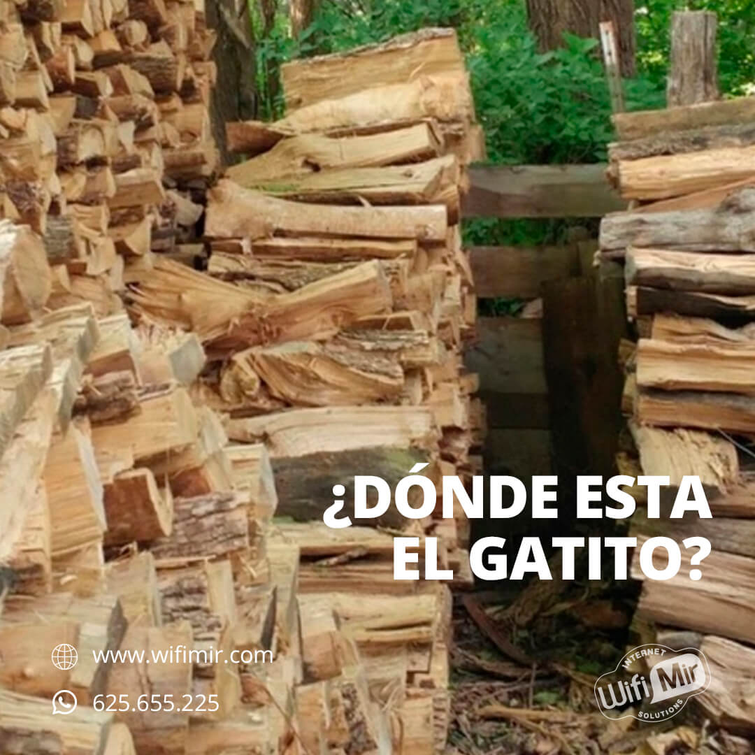wifimir's tweet photo. Y ahora ¿Dónde esta el gatito? 

Te desafiamos a encontrarlo... Fue difícil pero ¡Lo logramos!

Coméntamos si pudiste y no reveles su ubicación 🐱

#wifimir #4gespa #espa #conexion #encuentraelgato https://t.co/ulnscYs1sR
