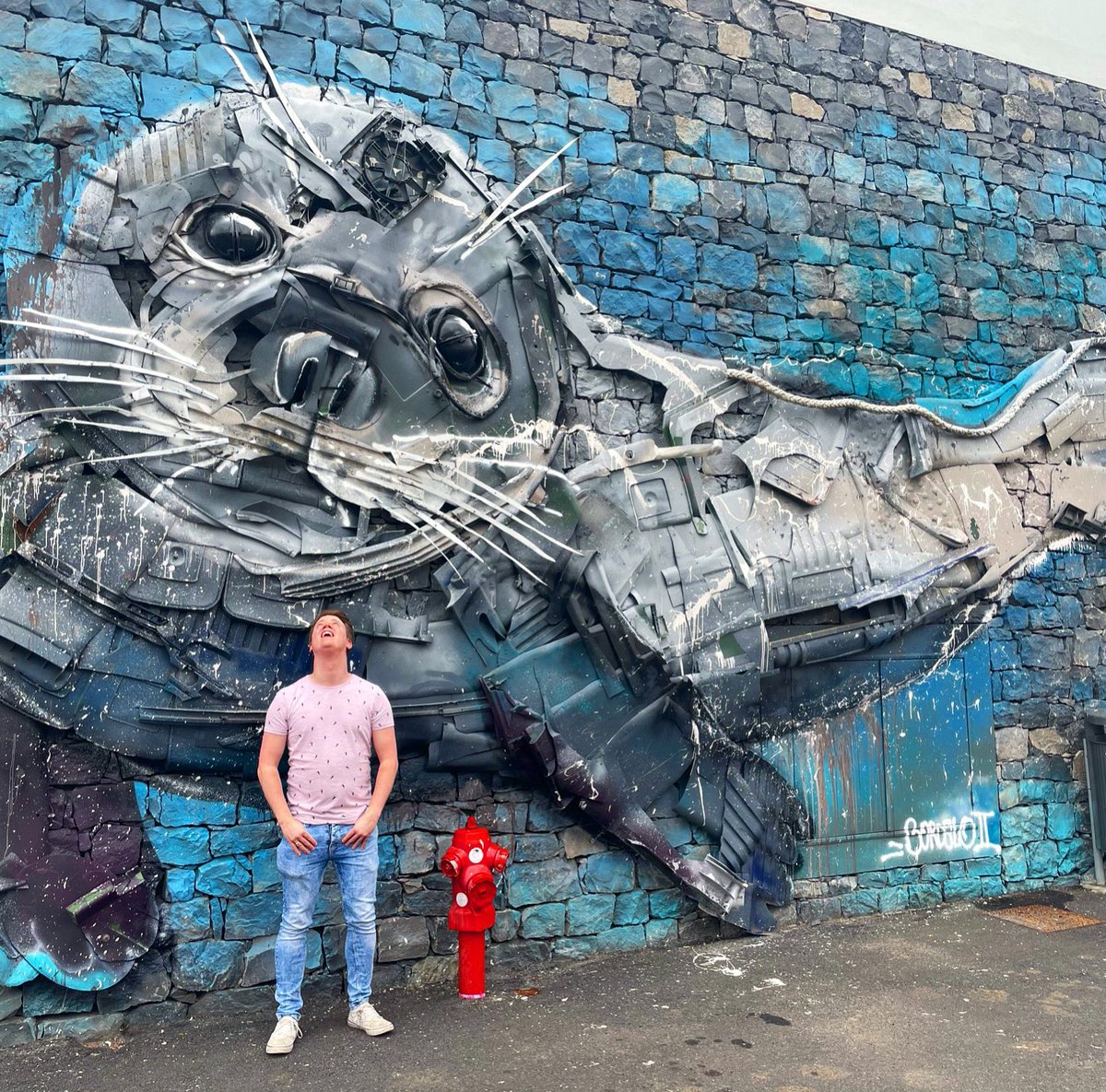 LukeHearfield's tweet photo. Arf! Arf! Arf! Appreciating art! (That was me impersonating a Sea Lion btw) π
#madeira #appreciatingart #sealion #art #camaradelobos @ CΓ’mara de Lobos, Madeira https://t.co/3IW6zlEVly