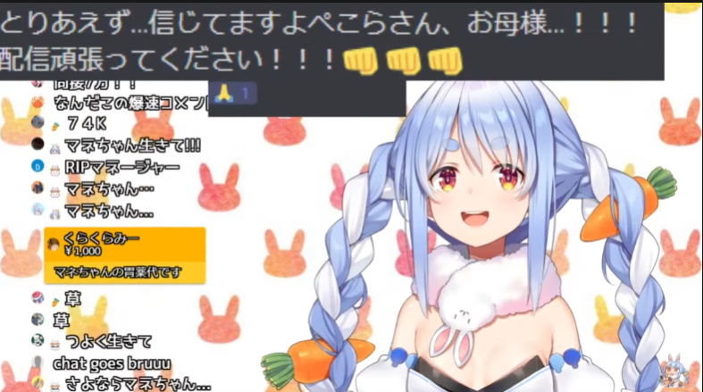 テレビで話題 ダーツハイブ×ホロライブ 兎田ぺこら motorenag.de