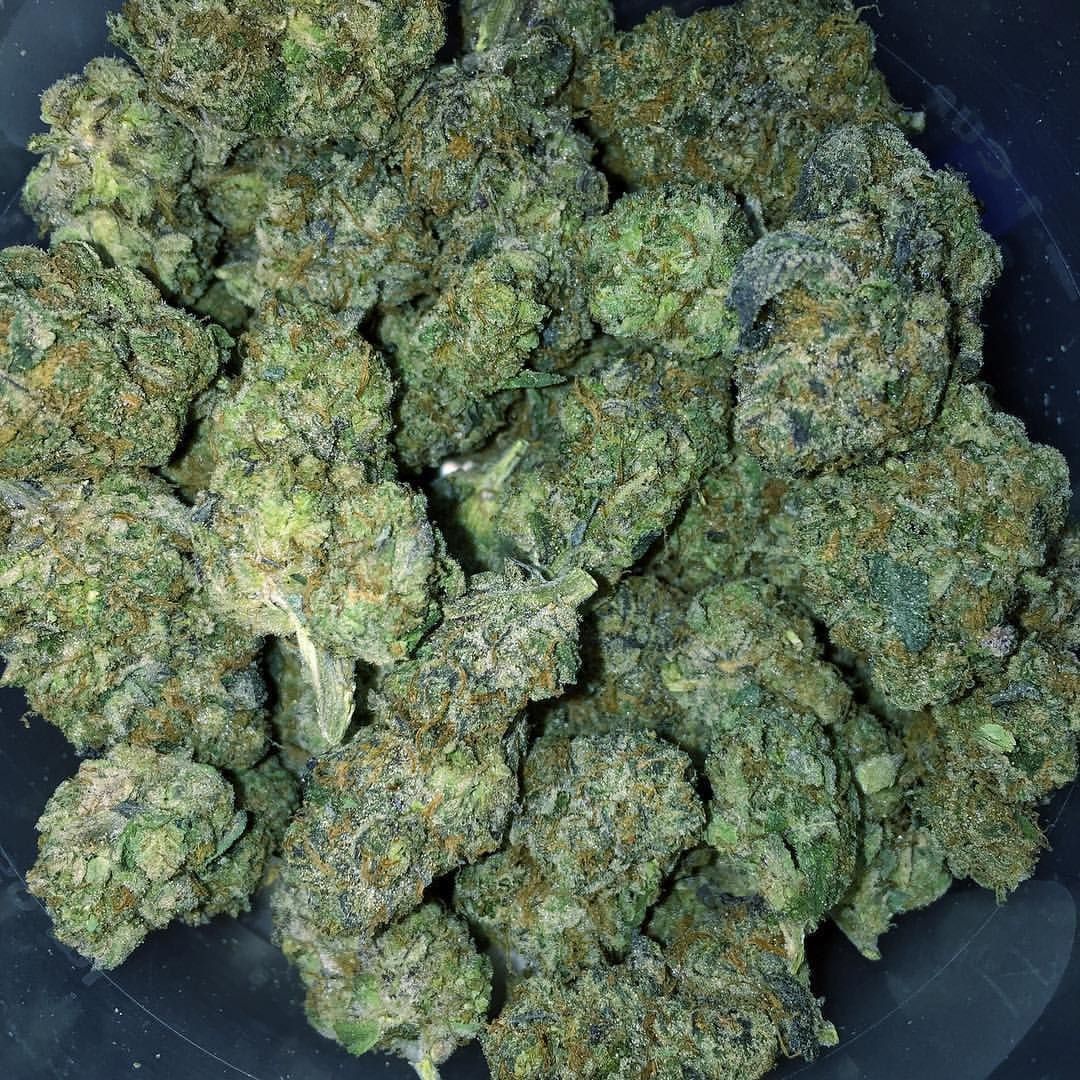 Dane19173910's tweet photo. Top Shelf Quality Weed

 Oz(28 grams) ....... $260
 50 grams...... $330
 QP(113grams) ....... $500
 HP(226gr)........ $780
 LB(454gr)....... $1,690

+1 619-693-4568

White widow available in bulk we still taking more orders

HOHOHOO!!!🎅🌲🌲 https://t.co/sTuZaPWQGF