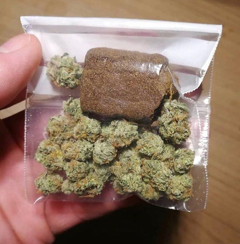 Dane19173910's tweet photo. Top Shelf Quality Weed

 Oz(28 grams) ....... $260
 50 grams...... $330
 QP(113grams) ....... $500
 HP(226gr)........ $780
 LB(454gr)....... $1,690

+1 619-693-4568

White widow available in bulk we still taking more orders

HOHOHOO!!!🎅🌲🌲 https://t.co/sTuZaPWQGF