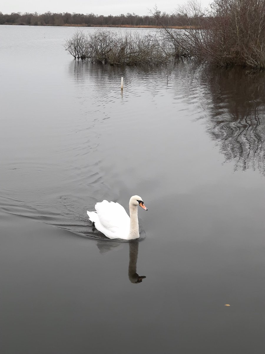 The Broads National park .
