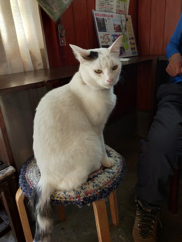 山の休憩所かゑる