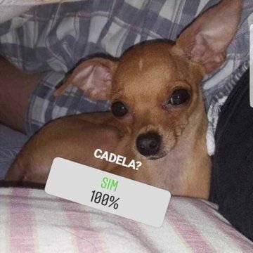 mxvingcastle's tweet image. por que ela é assim meu deus