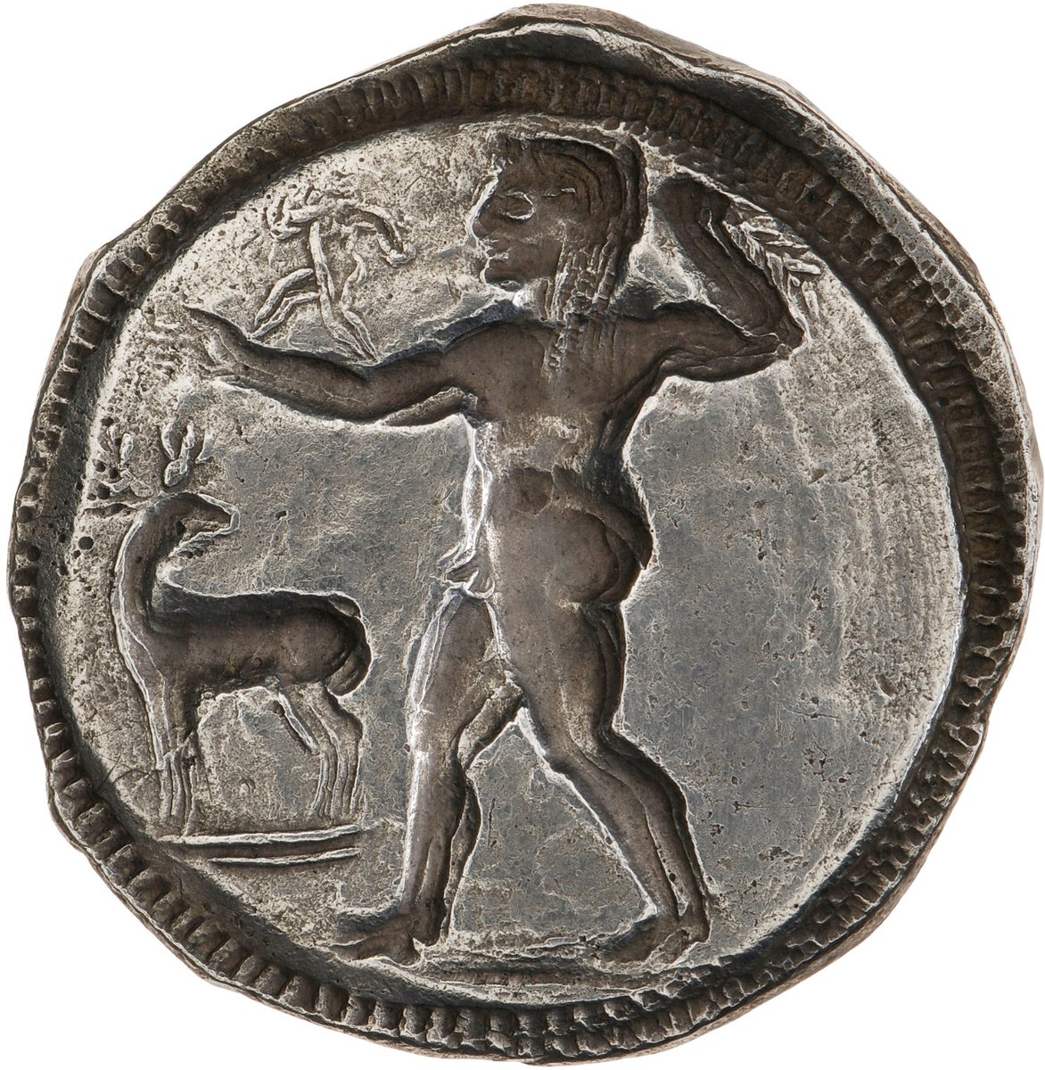 Ancient Coin of the Day: A quick thread today, as I'm still sleepy! But an opportunity to look at some beautiful coins from Magna Graecia, starting with this silver stater of Caulonia, ca. 530-510 BC.  #ACOTD  #MagnaGraeciaImage: ANS 1941.153.172. Link -  http://numismatics.org/collection/1941.153.172