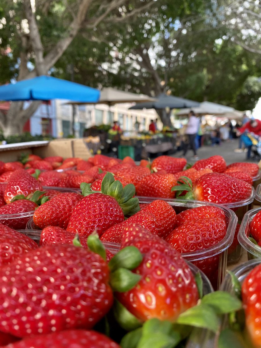 CITGuimar's tweet photo. Tenerife 100%Vida en el mercado del agricultor de Güímar de la mano del CIT de #Güímar con los vinos DO Valle de Güímar #somostenerife. Alegrando el día con las ambrosías de Binter https://t.co/ZeEtQeWXFc