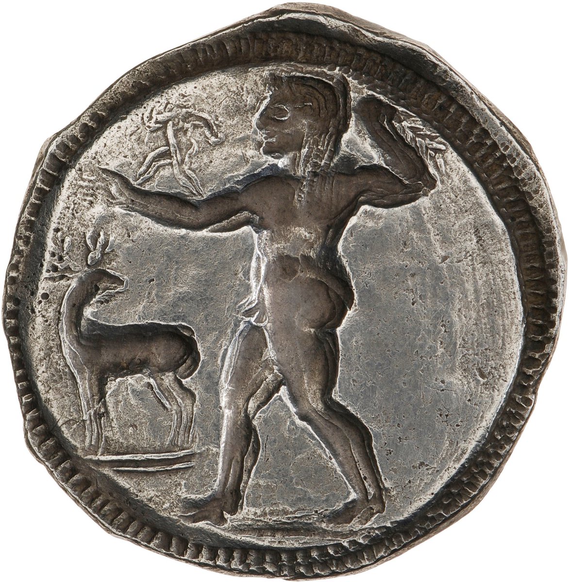 The Reverse is the incuse representation of the scene. The inclusion of Apollo in the design is evocative of the role that Delphian Apollo played in the colonies of Magna Graecia. The scene itself has been interpreted as referring to Apollo bringing laurel branches from the...