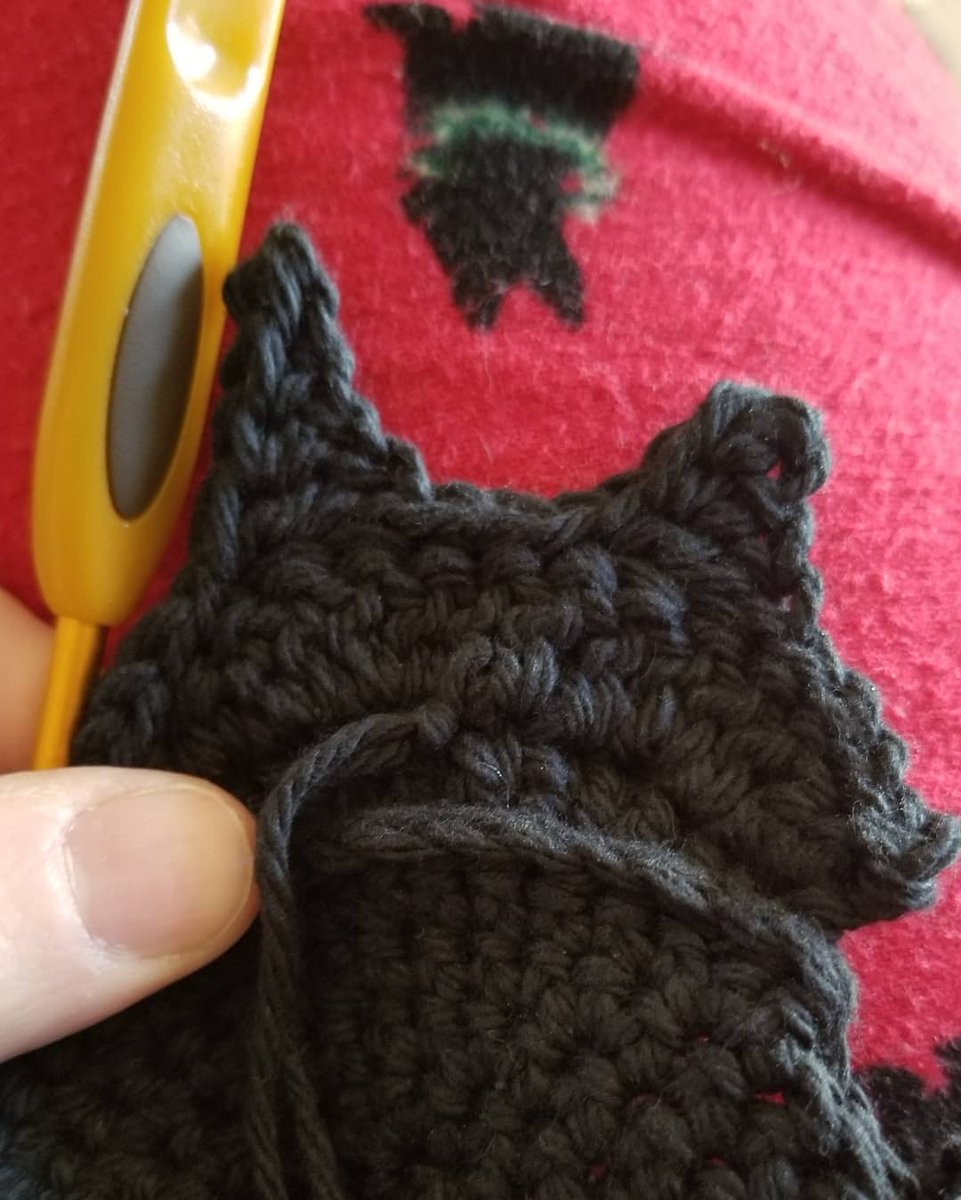 conchopurl's tweet image. One final cat coaster, and I'd like for it to be a tipped or notched ear cat. Which style do you prefer (right ears)? Or should I go with a rescued 1 eye/1 ear cat?

#poll
#catcoasters
#notchedear
#notchedearcat
#tippedear
#tippedearcat
#crochetcatcoaster
#crochet
#wipweekend