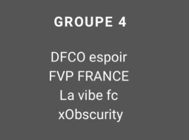 FVP france tweet media