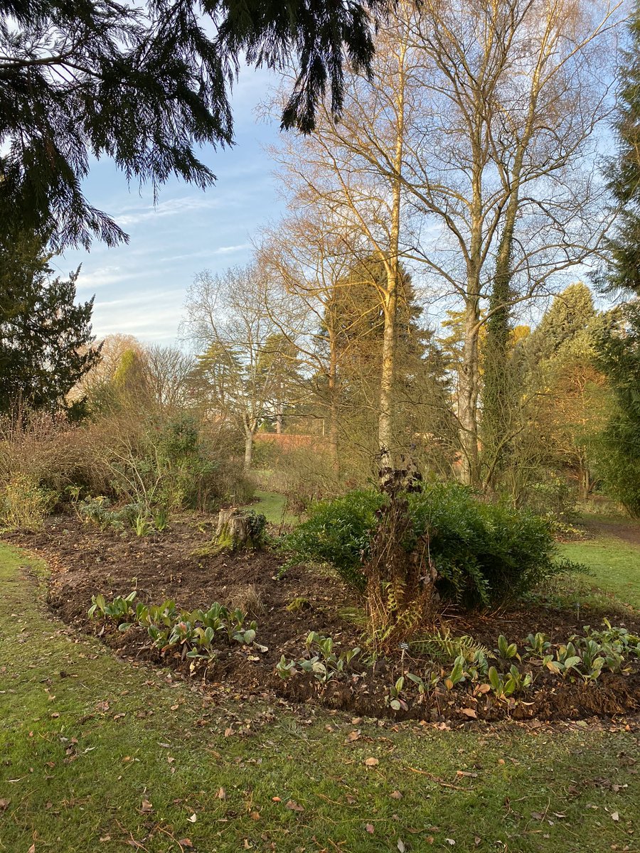 BurfordHouse's tweet photo. Our Garden Angels doing their magic...before the rain. Still climbing the mountain! https://t.co/ecq3SWYV8J