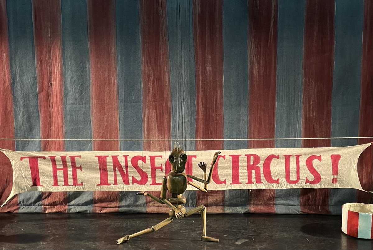 string_theatre's tweet photo. Ready for our performances this afternoon @Longfieldhall #grasshopper #insectcircus #livetheatre https://t.co/9rtYyt1bsX