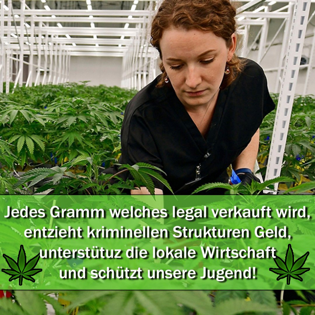 NeXoshopde tweet picture