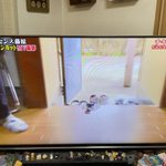 ダウンタウンのガキの使いやあらへんで で 天海祐希 が話題に ガキ使 トレンドアットtv