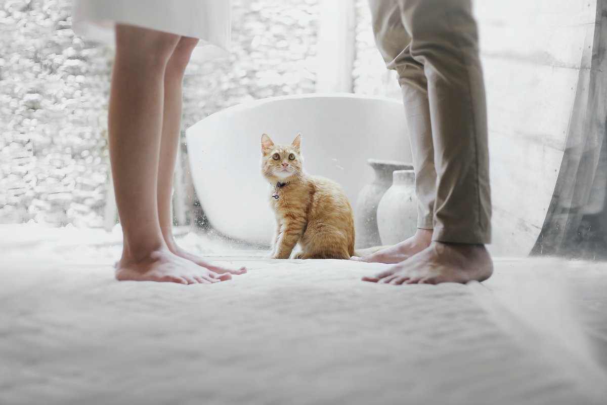 animallegend3's tweet photo. https://t.co/ua8XnVJSOv