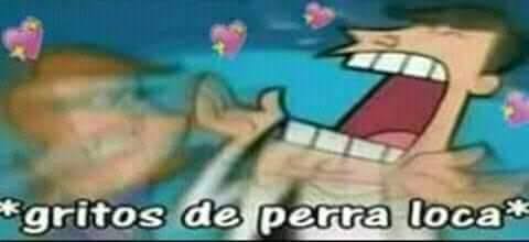 chnlxjj's tweet photo. Chan dijo que si le pregunta a Felix "que queres?"(para navidad) el le respondería "te quiero a vos", chau los amo
#ChansRoomEp84🐺
#ChanOurSafePlace
#AussieHome
@Stray_Kids https://t.co/dTrnaCIkHC