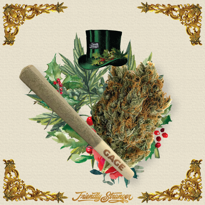 Friendly Stranger tweet media