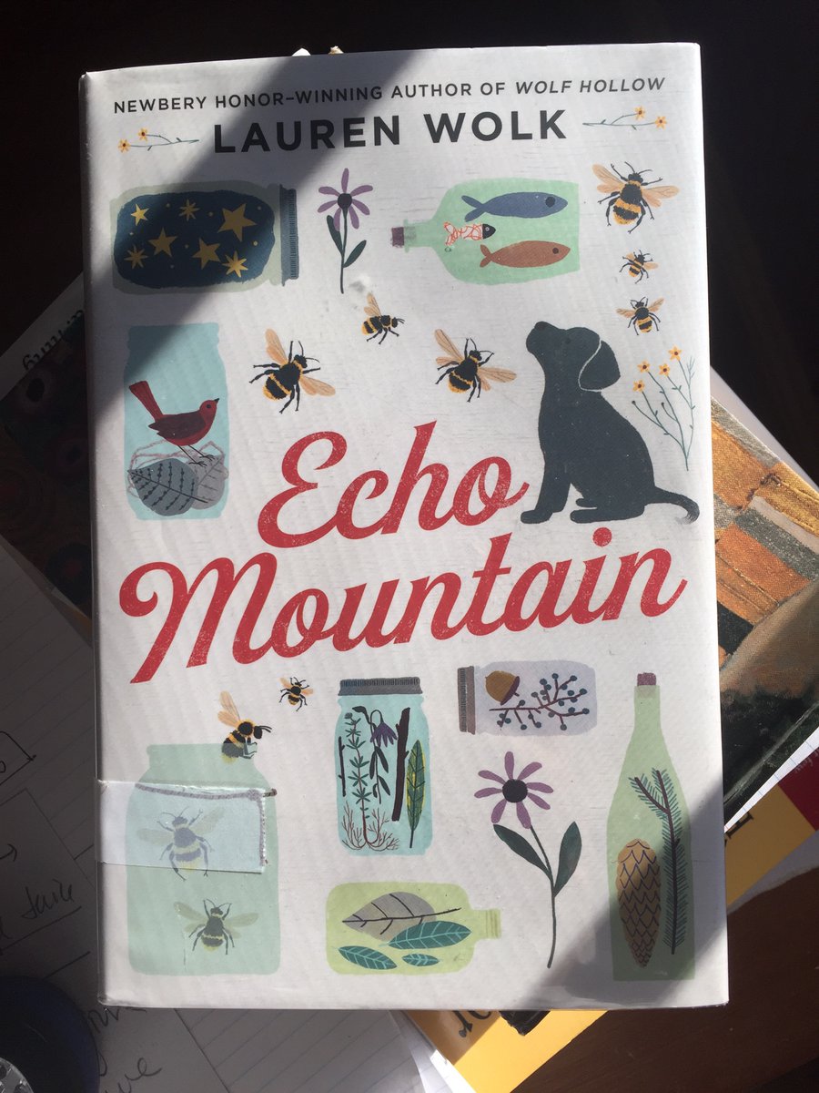 It’s so satisfying to read a book that’s good the whole way through. I just finished ECHO MOUNTAIN by @LaurenWolkBooks. Loved every word. Going to check out WOLF HOLLOW and BEYOND THE BRIGHT SEA next. #middle-grade #MGLit #recommended #Newbery #PRH