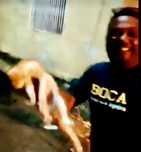 TarekWiliamSaab's tweet photo. #AHORA detenido por la GNB ( Trujillo ) para ser #imputado por el Ministerio Público @MinpublicoVE por MALTRATO ANIMAL al sujeto William Lennon Sosa: quien  grabó un video lanzando con crueldad a un #GATO  hacia un tejado, mientras burlonamente cantaba “el gato volador...” https://t.co/kSlXJs7Yzz
