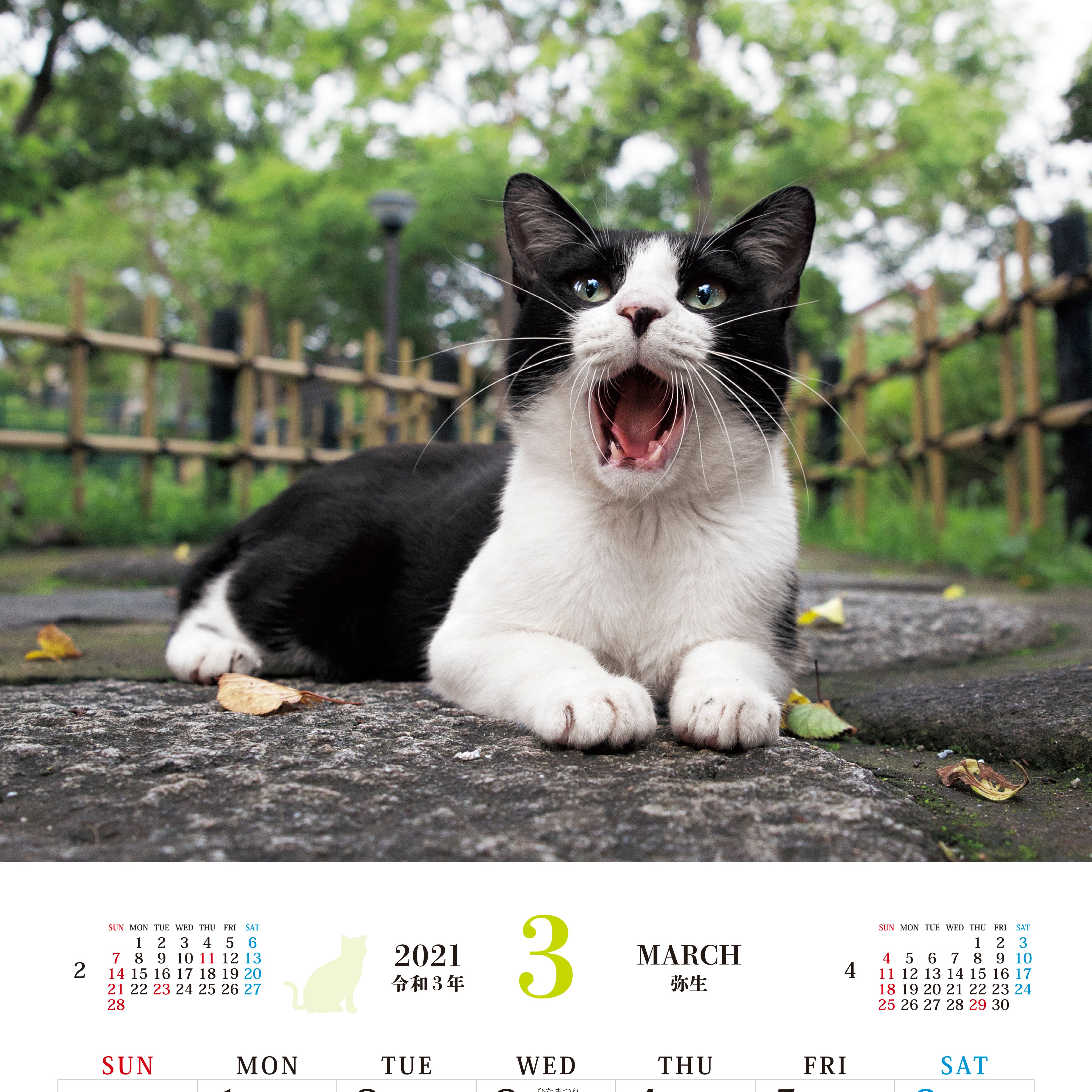 猫写真家 沖 昌之 Masayuki Oki ニャン生訓 9月25日発売してます Amazonで購入すると限定スマホ壁紙がついてくる お得っ 21 そとねこ 壁掛けカレンダー T Co Gy9wn3nonj限定 スマホ壁紙に使える癒やしのそとねこ画像 データ配信