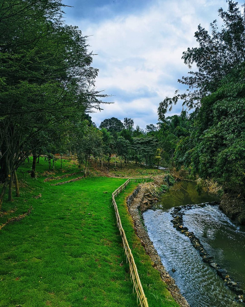 kerubo_hillary's tweet photo. Are you a lover of nature?
If yes, have you visited the refurbished Michuki Park or you are yet to?
Incase you need a weekend plan, this isone place to have a lovely view of nature as you enjoy your weekend
Celebrating progress of Kenya at 57 

#57Challenge

Photo 📸 |Courtesy| https://t.co/vVwmJCoHZx