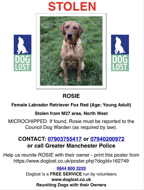 StolenRosieM27's tweet photo. #Bus drivers in the #Swinton area, please remain vigilant &amp; keep an eye out for Rosie! Feel free to #RT! Posters can be found here - https://t.co/6Cocsb6b1O @DiamondBusNW @StagecoachGM @gogoodwins @arrivanorthwest ~ Will https://t.co/vnS3mXru8g