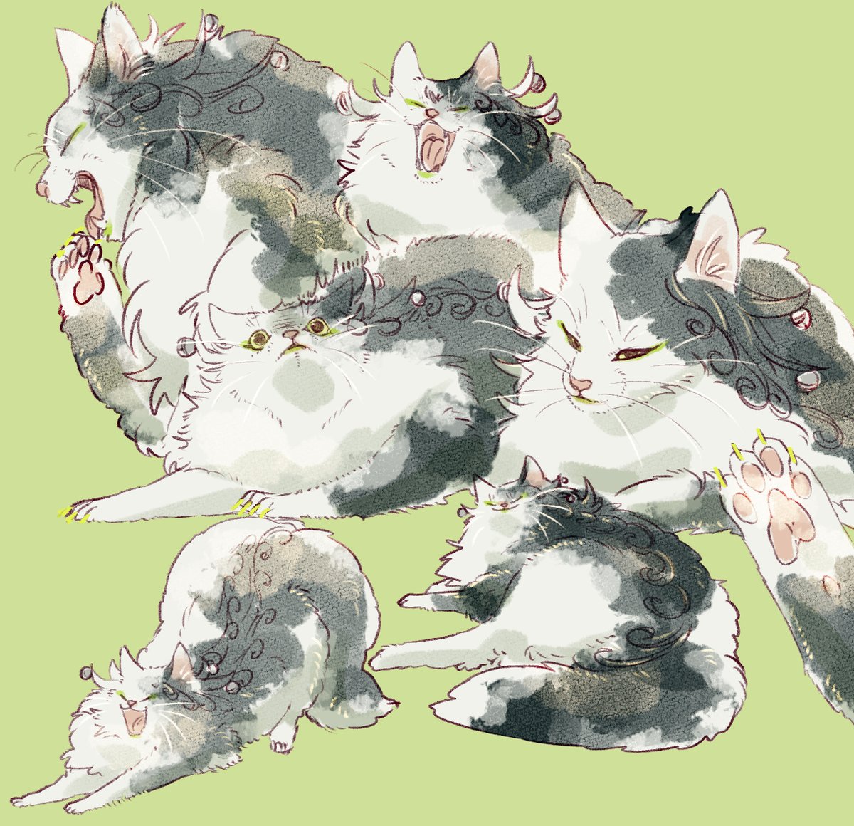 ashiya douman (fate) animal focus cat no humans white fur animalization black fur two-tone fur  illustration images