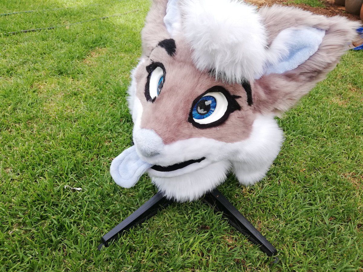 NCZASuits's tweet photo. Meet zozo!  

A mini partial with feet for another lucky young lady 

#fursuitmaker #furry #furry #NCZAsuits #ZARtists #supportlocal #fenicdolphinhybrid #youngfur https://t.co/MCINkHmcgX