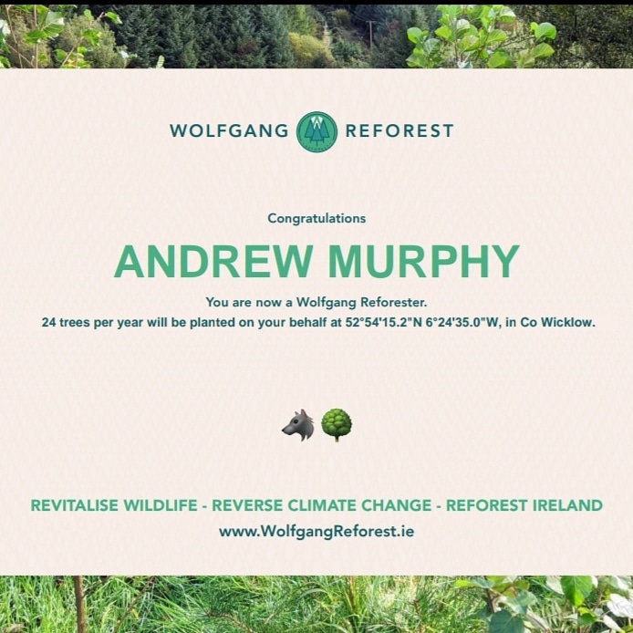 Drew03759243's tweet photo. Just arrived! Thanks @WGReforest and fair play for taking this on! https://t.co/Do0mFCYRBS