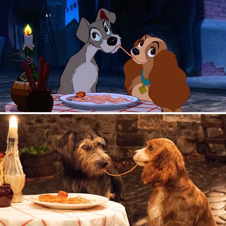 adoptmovement's tweet photo. We DEFINITELY recommend watching Lady &amp; The Tramp! Beautiful story. Beautiful pets. Beautiful adoptions. Check it out on @disneyplus ! #adoptdontshop #adopt #ladyandthetramp #disneyplus #aDog #aPet #aLoyalFriend #aDopt https://t.co/V8LEalPLU9