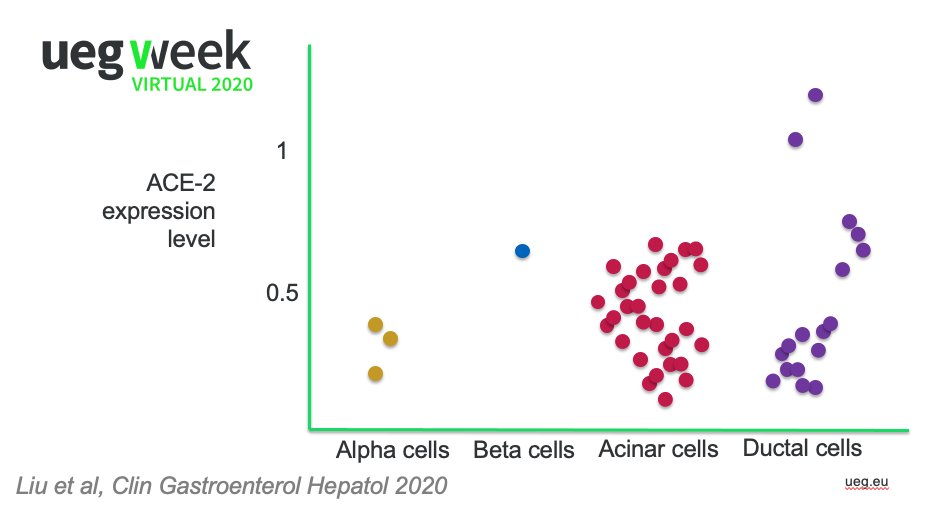 SARS-CoV-2 enters human cells by interacting with the ACE2 receptor.Well, ACE2 is present in the GI epithelium, in the pancreatic ductal and acinar cells, so BH PLAUSABILITY criteria  @AGA_Gastro  https://www.gastrojournal.org/article/S0016-5085(20)30282-1/fulltext?referrer=https%3A%2F%2Fwww.nature.com%2F @AGA_CGH  https://www.cghjournal.org/article/S1542-3565(20)30537-1/fulltext